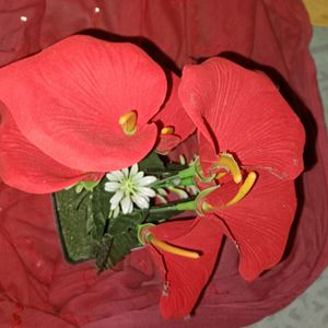 Artificial Anthurium Red Flower With Pot