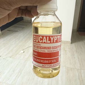 Eucalyptus Oil / Nilgiri Thailam