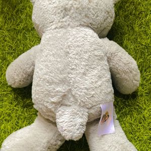 Taddy Bear Soft Toy