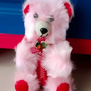 Pink Colour Teddy Bear