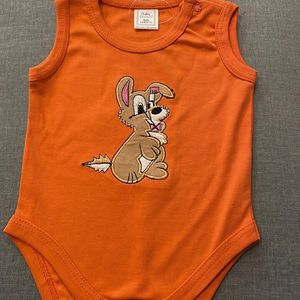 Baby Onesies