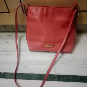 Caprese Handbag And Sling bag