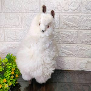 Lama Plush