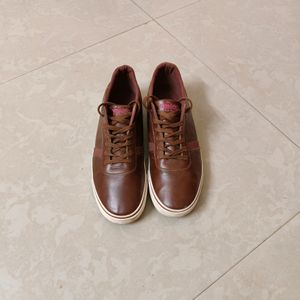 Roadster Sneakers For Men Solid Brown (New)