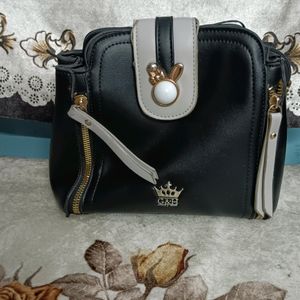 Black Purse