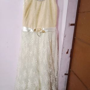 Embroidery NET Gown