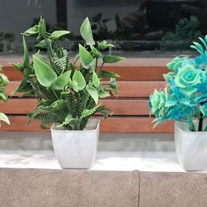 🪴 5 SHOWPIECE FLOWER POTS 🌸