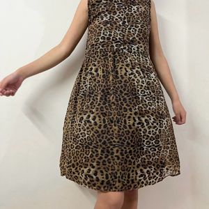 Printed Dress