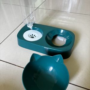 Cat Food & Water Dish