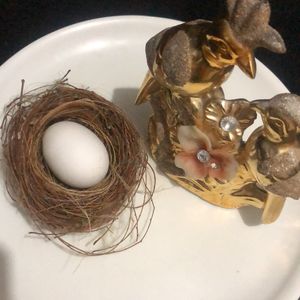 Rare Bird Nest