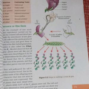 Biology For 12th Class 🧐