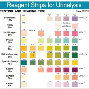 Urine Sugar Test Strips