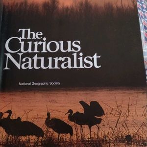 The Curious Naturalist