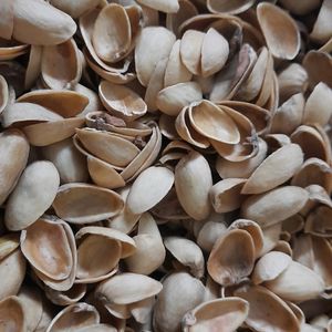 Pistachios Shells 2 Kg. Art Craft