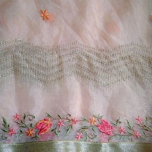 Organza Dupatta with silk embroidery