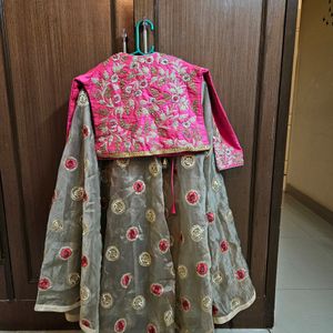 Pink And Brown Lehenga