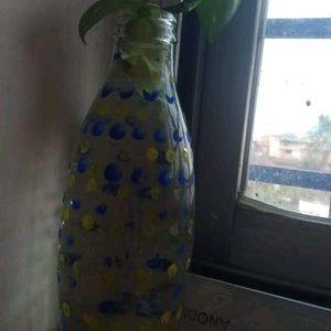 5 Money Plants With Roots In A Bottle Filled Water