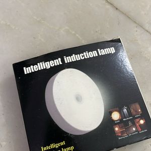 Intelligence Induction Lamp