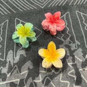 Flower Hair Clutcher Pack Of 3