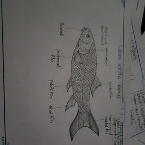 ZOOLOGY Record For Student