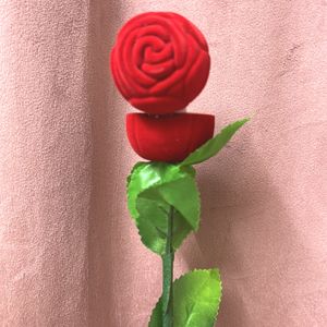 Rose For Proposal