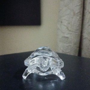 Glass Turtle For Show