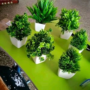 5 Artificial Plant Set for Home Decor