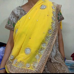 Golden Embroidery Saree