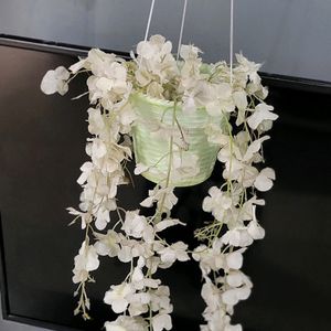 Set 2 Hanging White Flower & FlowerPot