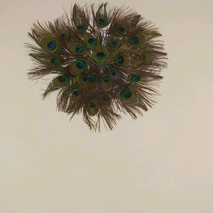 Wall Decorating Peace With Peacock Feather