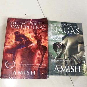 2 Books By Amish