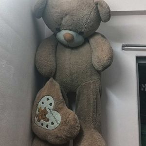 Big Size Teddy Bear