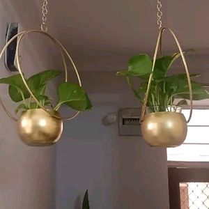 Set Of 2 Golden Metal Hanging Pot