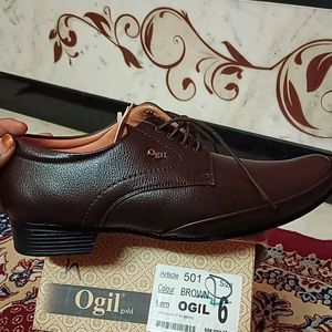 Ogil Gold Shoes Neu