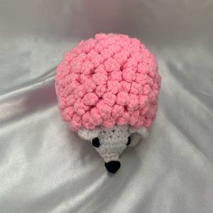 Cute Crochet Hedgehog Plushie🦔🎀