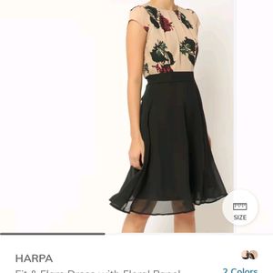 Harpa Women Black Dress