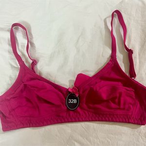 Brand New Bra