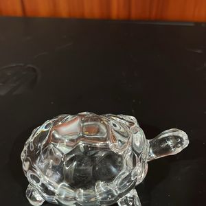 Small Turtle Show Piece