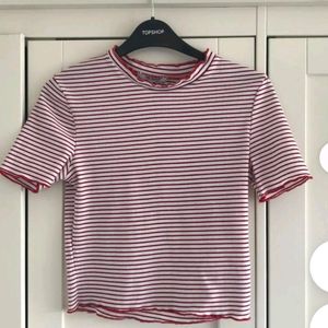 Pinteresty Zara Red White Striped Crop Top