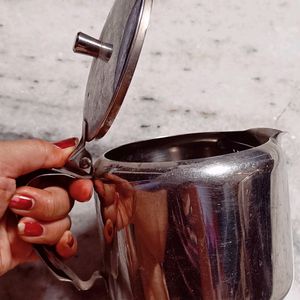 Stainless Steel Kettle