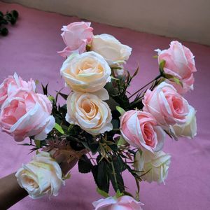 Light Pink Roses