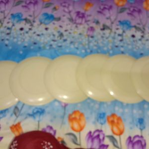 Plastic Plates- Set of 6