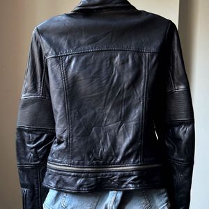 ALL SAINTS Assembly Leather Biker Jacket