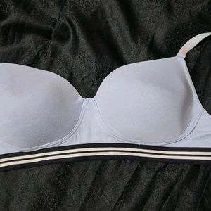 Zivame 34C Padded Bra