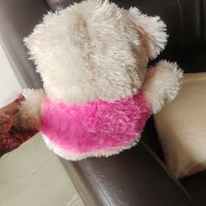 Cute Teddy Bear For Kids ,Height - 13 Inch Approx.