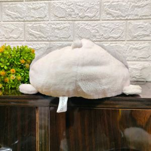 Cat Pillow And Plush