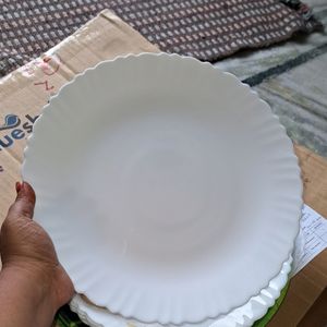 6pc Dinner Plate