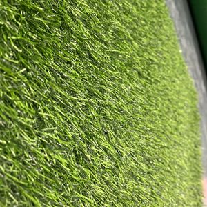 Artificial Grass