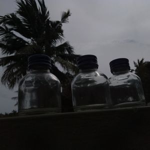 Empty Glass Bottles