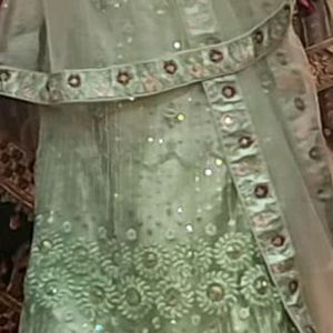 Pista Colour Lehenga Choli